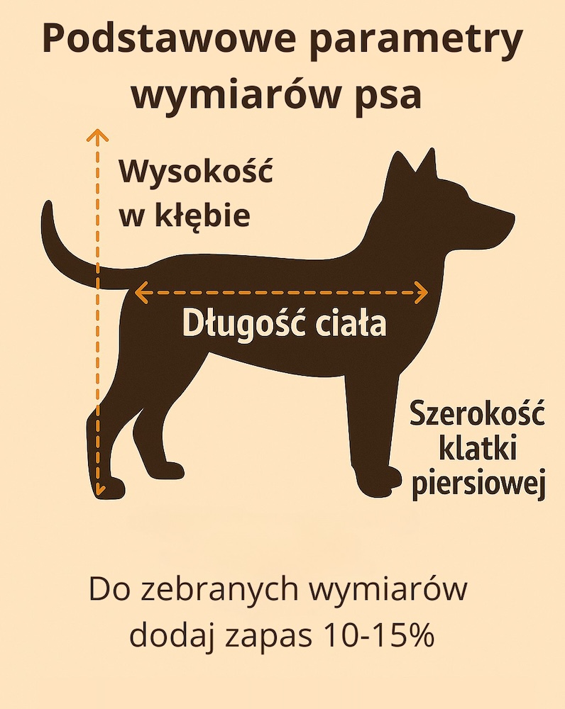 buda dla psa - projekt dopasowany do wymiarów 
